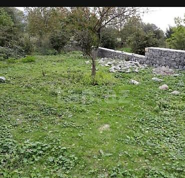 dağ: 10 sot, Tikinti, Barter mümkündür, Kupça (Çıxarış) — 2