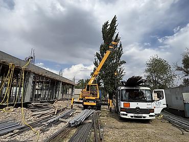 вибрационный стол: Стрела 21 м, 5000 т, Борт 5000 кг — 8