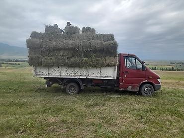 авто европа: Mercedes-Benz Спринтер: 2000 г., 2.9 л, Механика, Дизель — 3