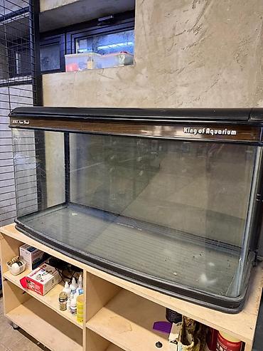 fermer kg: Аквариум King of Aquarium Jebo с панорамным передним стеклом и — 1