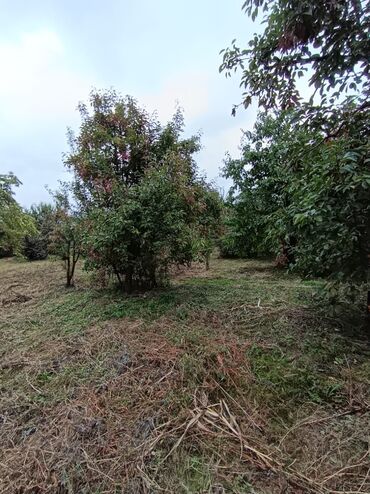 Bağ evlərinin satışı: Alekseevka, 30 kv. m, 15 otaq, Su — 15