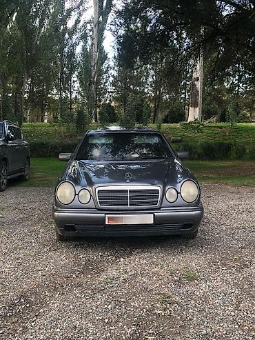 bud e9: Mercedes-Benz E-Class: 1996 г., 2.3 л, Механика, Бензин, Седан — 1