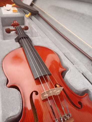 Gitaralar: Heçbir problemi yoxdu plasmas değil materiali en keyfiyyetlisinnendir