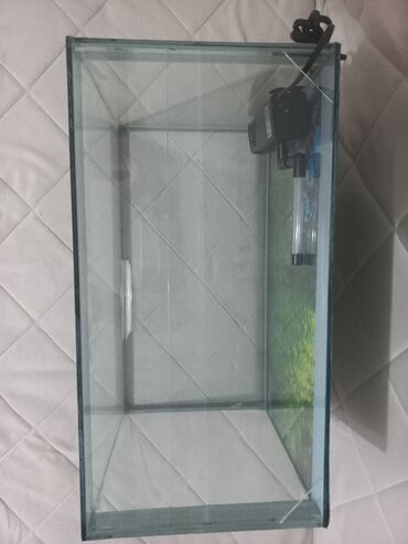 Akvariumi: AKVARIJUM za ribice dimenzija: D-40cm Š-21cm V-24,5cm sa dvodelnim — 5