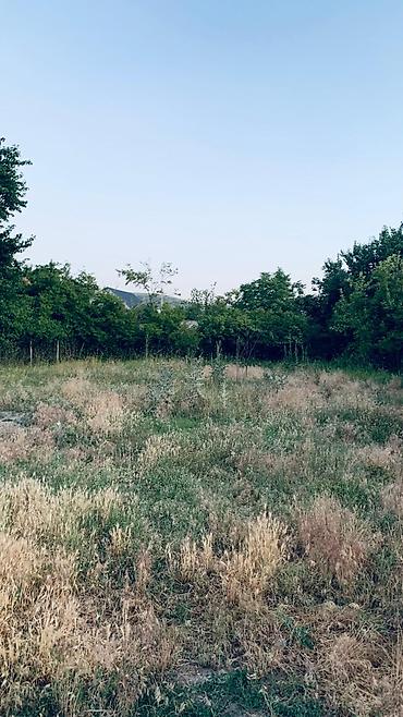 Продажа участков: 5 соток at lalafo.kg — 6 Продажа участков: 5 соток — 6