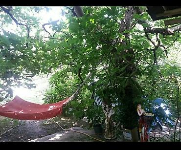 Günlük kirayə mənzillər: 5 otaqlı — 3