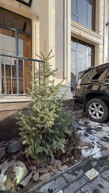 Продажа таунхаусов: Предлагаю Вашему вниманию новый таунхаус в стиле современной классики — 23