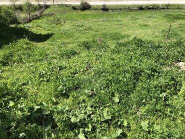 Torpaq sahələrinin satışı: 30 sot, Kənd təsərrüfatı, Mülkiyyətçi, Kupça (Çıxarış) -da lalafo.az — 17 Torpaq sahələrinin satışı: 30 sot, Kənd təsərrüfatı, Mülkiyyətçi, Kupça (Çıxarış) — 17