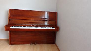 Riga upright pianino - Brend/model: RIGA (upright) - Korpus
