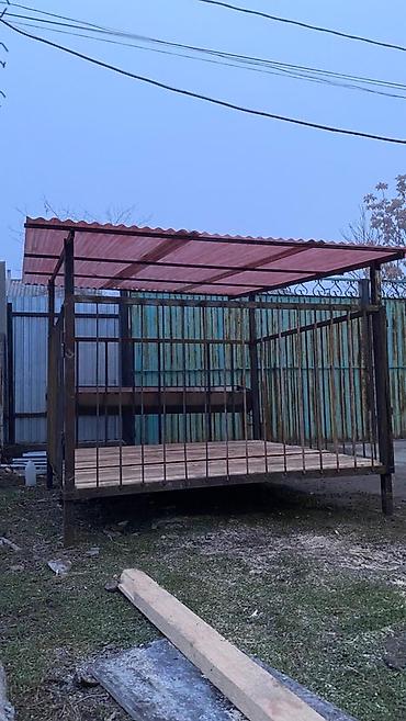 Товары и оборудование для с/х животных: Койкана койго жана козуга ылайыкташкан краскасын кылып берем 8 баш — 11