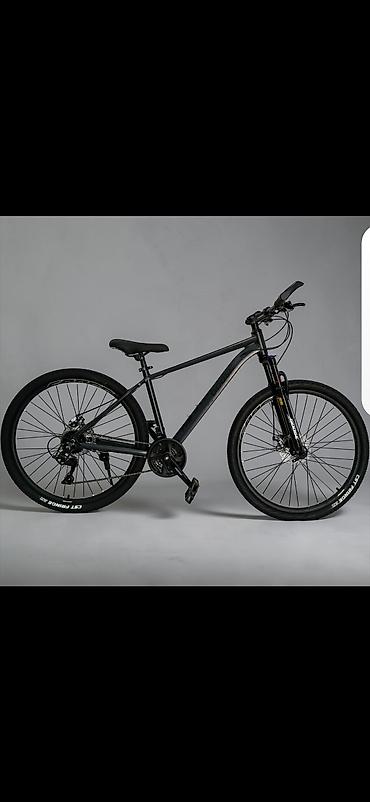 velosiped 29 satilir: Şəhər və yüngül off-road üçün universal dağ velosipedləri - Çərçivə — 3
