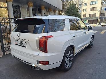 8: Hyundai Palisade: 2021 г., 3.8 л, Автомат, Бензин, Кроссовер — 6