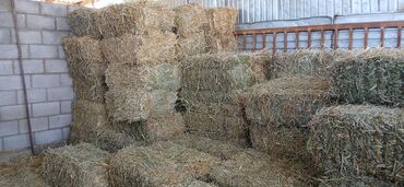 наполнитель для животных: Первый укос смешанный аралаш около 80 тюков