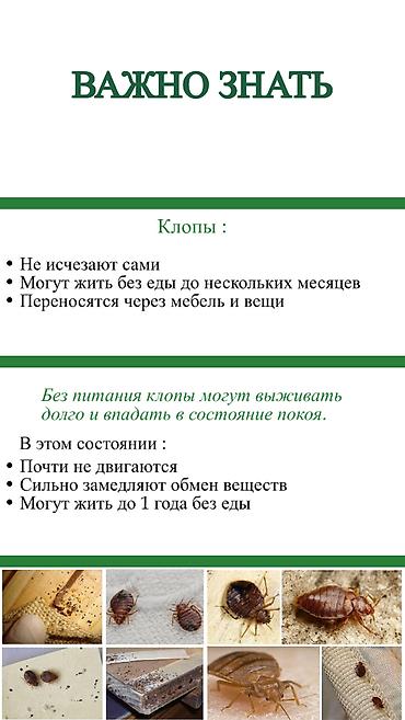 Дезинфекция, дезинсекция: Дезинфекция, дезинсекция, | Клопы, | Транспорт, Офисы, Квартиры — 9