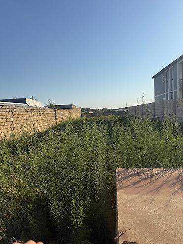 bağ evi: 6 sot, Tikinti, Mülkiyyətçi, Kupça (Çıxarış) — 1