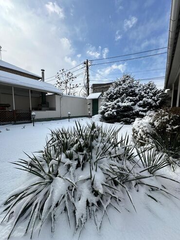 Долгосрочная аренда домов: 175 м², 5 комнат — 4