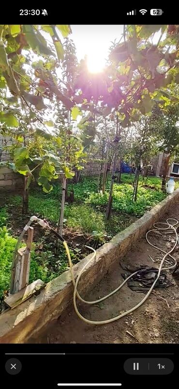 Həyət evləri və villaların satışı: Həyətyanı sahəli fərdi yaşayış evi - Aşağı kürsülü, maili dam — 8