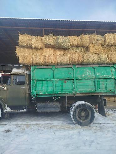 Авто кызматтары: Буйрутма берүү Хендай портер, Курулуш таштандыларын чыгаруу, Прицеби менен — 3