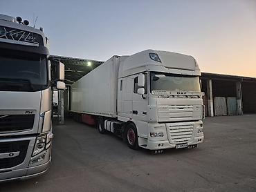 Тягачи: Тягач, DAF, 2008 г., Холодильник, рефрижератор at lalafo.kg — 2 Тягачи: Тягач, DAF, 2008 г., Холодильник, рефрижератор — 2