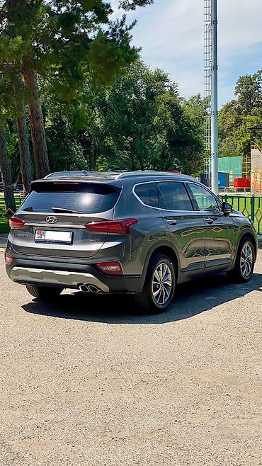 ender s: Hyundai Santa Fe: 2019 г., 2 л, Типтроник, Дизель, Кроссовер — 7