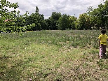 Torpaq sahələrinin satışı: 10 sot, Tikinti, Mülkiyyətçi, Kupça (Çıxarış) -da lalafo.az — 13 Torpaq sahələrinin satışı: 10 sot, Tikinti, Mülkiyyətçi, Kupça (Çıxarış) — 13