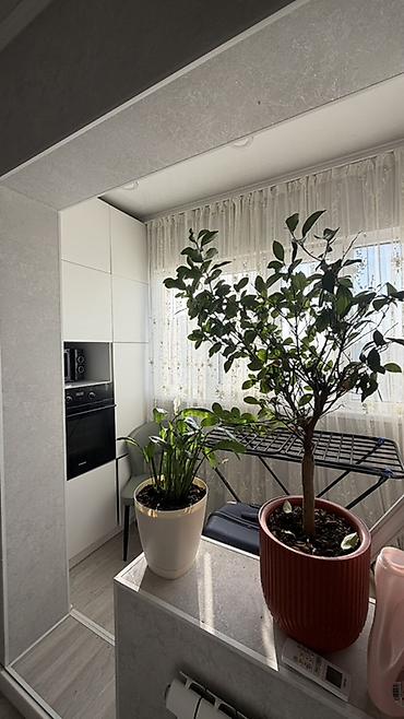 Продажа квартир: Студия, 37 м², Вефа ТЦ 9 этаж — 16