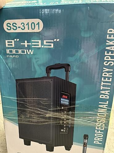 se electronics: Портативная аккумуляторная акустическая система SSRJ SS-3101 Основные — 4