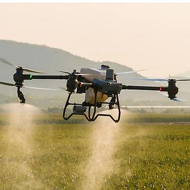 🚁 Десикация Кукурузы !!! Десикация !!! Десикация!!! От 20 гектаров
