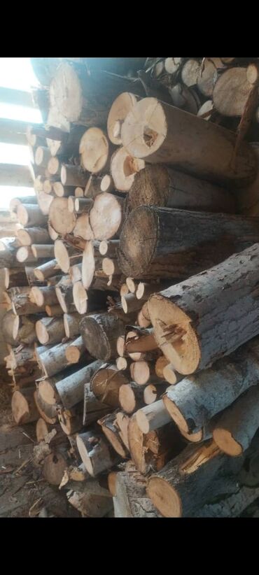 сухие колотые дрова: Дрова Тополь, Самовывоз