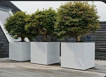 Bitkilər üçün dibçəklər: Müasir dizaynlı kvadrat dekorativ çiçək/qazon qabları 1 metrin 1 metre — 3