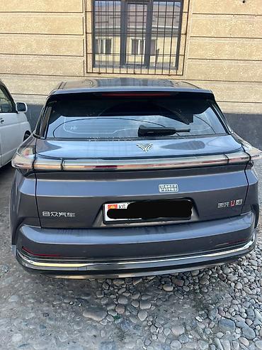 byd e6: Hozon Neta U-II: 2024 г., 0.1 л, Электромобиль, Кроссовер — 2