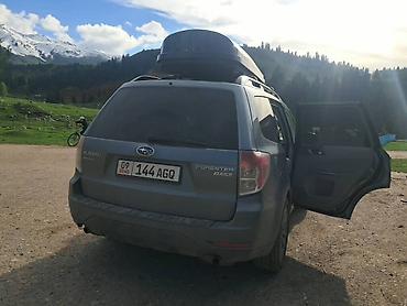 Subaru: Subaru Forester: 2010 г., Кроссовер — 9
