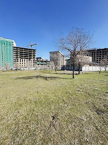 o2 development: 5 соток, Для строительства, Красная книга, Договор купли-продажи — 7