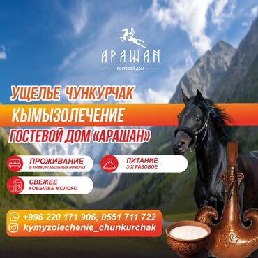 скупка плата: Гостевой дом «Арашан» | Кымызолечение в Чункурчаке Оздоровление