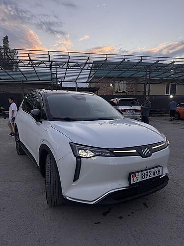 фикс рама с: WELTMEISTER W6 520км запас хода СОХ. 90% Про комплектация — 7