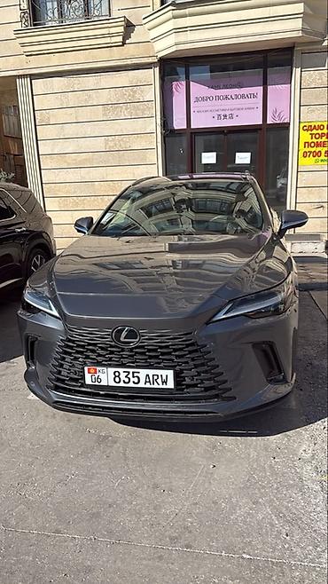 rx 330: Lexus RX: 2023 г., Автомат, Кроссовер — 5