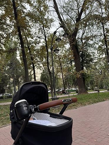 silver cross коляска: Коляска Silver Cross Reef 1 Stroller + Folding Bassinet ПРЕМИУМ — 10