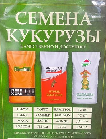 кофеварка зерновая для дома: Семена и саженцы Кукурузы, Самовывоз