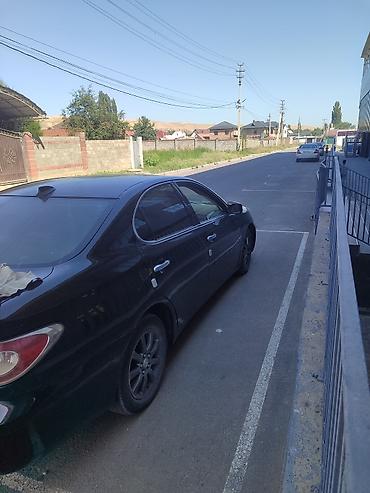 g comp: Lexus ES: 2002 г., 3 л, Автомат, Седан — 7