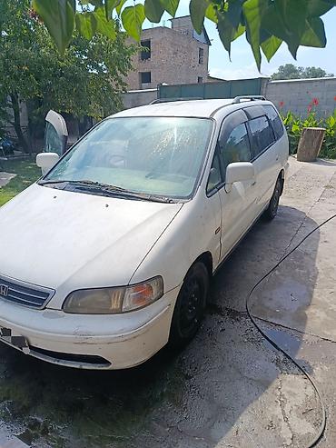honda odyssey 1: Honda Odyssey: 1998 г., Бензин, Минивэн — 3