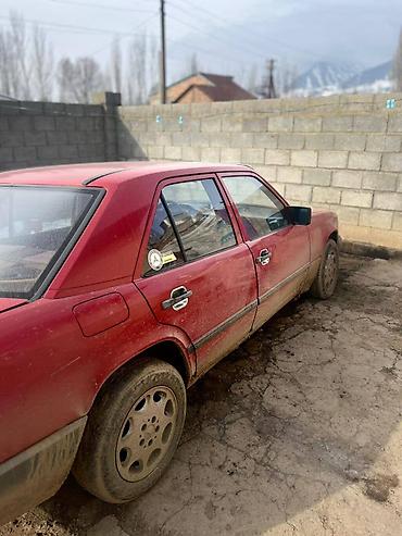 Mercedes-Benz: Mercedes-Benz W124: 1989 г., 2.3 л, Механика, Бензин, Седан — 4