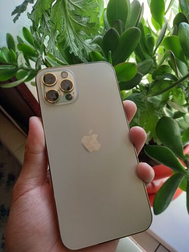 купить айфон 5s бу: IPhone 12 Pro, Колдонулган, 128 ГБ, Коргоочу айнек, Каптама, 79 %