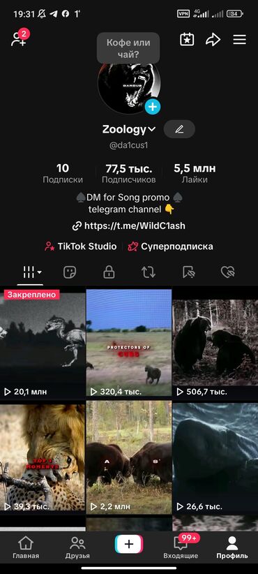 песня кыргызстан текст: Tik-Tok, Разработка контента