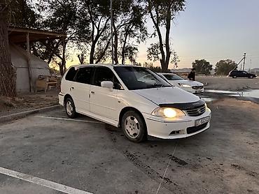 Honda Odyssey: 2001 г., 3 л, Автомат, Газ, Минивэн at lalafo.kg Honda Odyssey: 2001 г., 3 л, Автомат, Газ, Минивэн