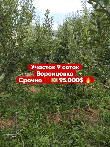 аренда дома рабочий городок: 9 соток, Для строительства, Красная книга