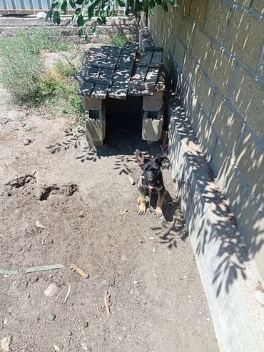 Удобства для дома и сада: Удобства для дома и сада at lalafo.kg Удобства для дома и сада: Удобства для дома и сада