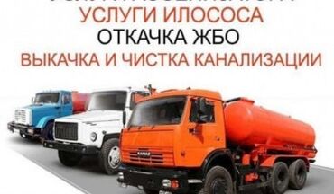 красовки для спорта: Ассенизатор ассенизатор ассенизатор ассенизатор ассенизатор