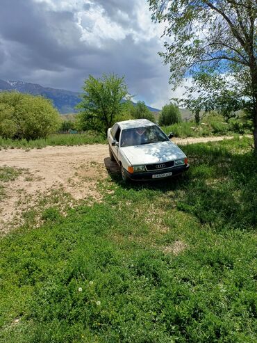 ауди а80: Audi 100: 1989 г., 2.3 л, Механика, Бензин, Седан