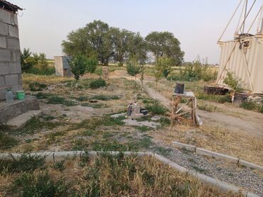 заря участок куплю: 2 соток, Для сельского хозяйства, Красная книга