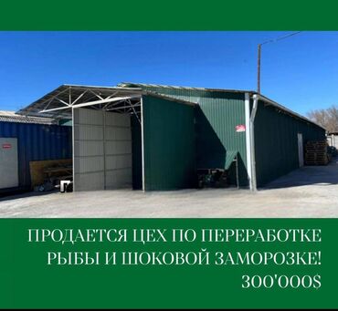 недвижимость в токмоке: Продаю Завод, С оборудованием, Действующий, 350 м²